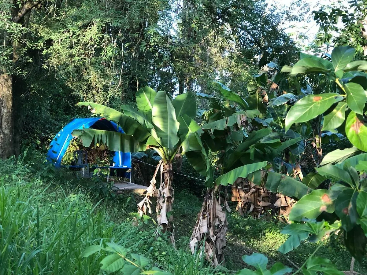 فندق بويرتو بلاتافي  Camping National Park Close To Beach 4*,  جمهورية الدومينيكان
